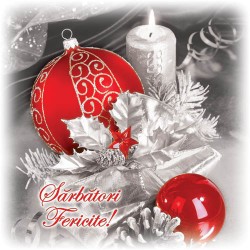 FELiCiTARE CRACiUN ORNAMENTE FELiCiTARE CRACiUN ORNAMENTE