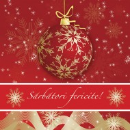 FELiCiTARE CRACiUN GLOB FELiCiTARE CRACiUN GLOB