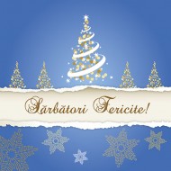 FELiCiTARE CRACiUN BRAD FELiCiTARE CRACiUN BRAD