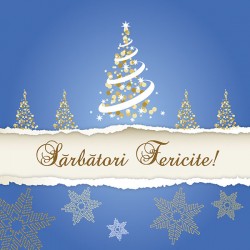 FELiCiTARE CRACiUN BRAD FELiCiTARE CRACiUN BRAD