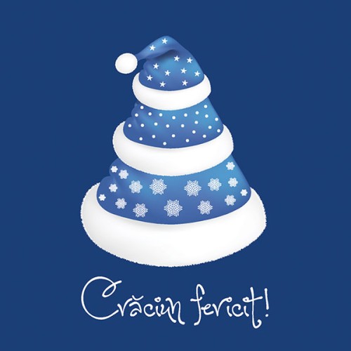 FELiCiTARE CRACiUN BRAD