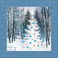 FELiCiTARE CRACiUN BRAD