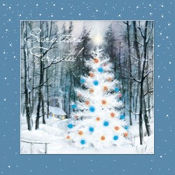 FELiCiTARE CRACiUN BRAD FELiCiTARE CRACiUN BRAD