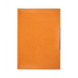 Agenda Precision Alicante B5 Orange