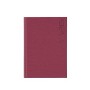 Agenda Rivoli 17x24cm zilnica