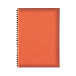Agenda Tucson Ghost 17x24cm nedatata Agenda Tucson Ghost 17x24cm nedatata