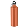 Bidon sport Moss