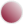 Burgundi