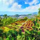 Calendar "Gardens" 2026