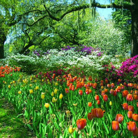 Calendar "Gardens" 2026