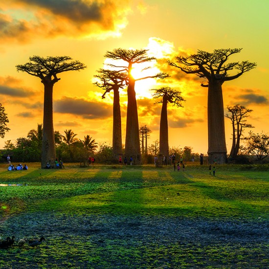 Calendar "Landscapes" 2026