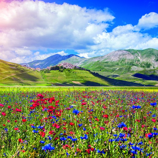 Calendar "Landscapes" 2026