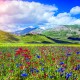 Calendar "Landscapes" 2026