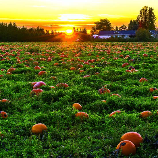 Calendar "Landscapes" 2026
