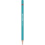 Creion Grafit Rotring Woodcase Metallic   HB