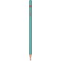 Creion Grafit Rotring Woodcase Metallic   HB