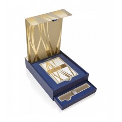 Cutie Cadou cu Scrisori II  Waterman Premium