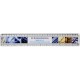 Rigla plastic 30 cm cu insectie Ellison 