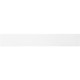 Rigla plastic 30 cm cu insectie Ellison 