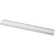 Rigla plastic 30 cm cu insectie Ellison 