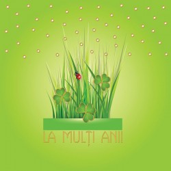 Felicitare La multi ani! cu trifoi si gargarita