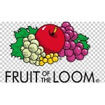 Fruit of the Loom