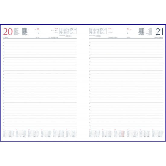 Agenda Big Matra 21x30cm zilnica