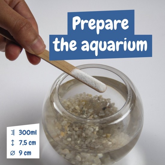   Joc educational pentru copii Jurassic