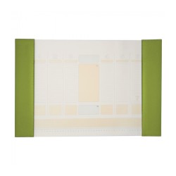 Mapa birou 56*38cm Precision Alicante Apple Green