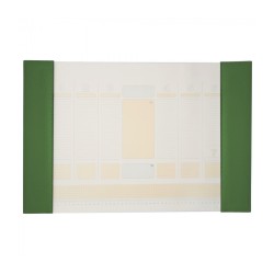 Mapa birou 56*38cm Precision Alicante Kelly Green