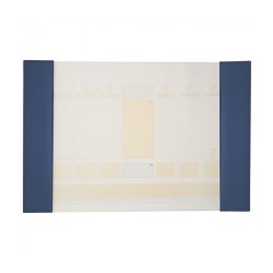 Mapa birou 56*38cm Precision Alicante navy