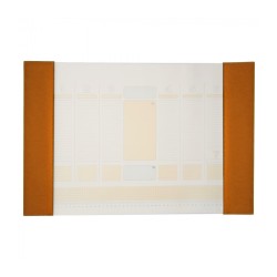 Mapa birou 56*38cm Precision Alicante orange