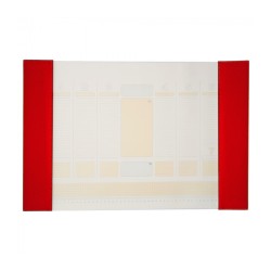 Mapa birou 56*38cm Precision Alicante rosu