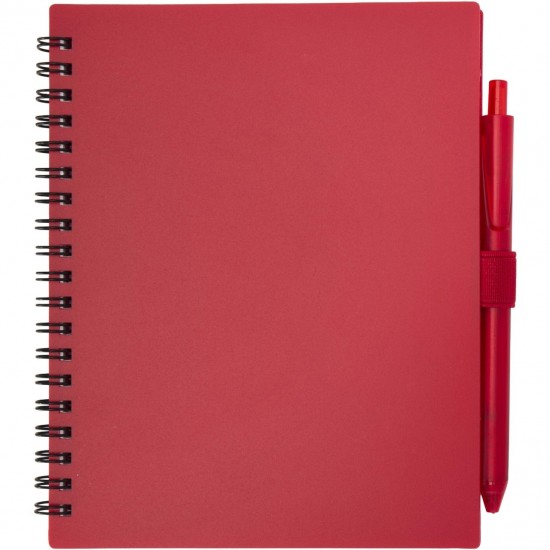Set notes cu pix Nieve Set notes cu pix Nieve