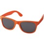 Ochelari de soare  Ray 
