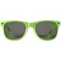 Ochelari de soare  Ray 