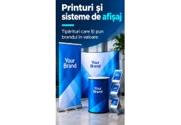 Printuri si sisteme de afisaj