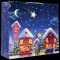 Punga cadou iarna casute noaptea