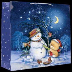 Punga cadou iarna om zapada si pisoi