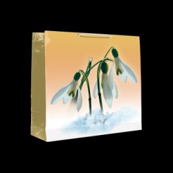 Punga cadou Martie - ghiocei