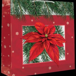 Punga cadou steaua Craciunului