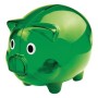 Pusculita transparenta Piggy