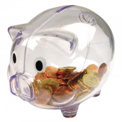 Pusculita transparenta Piggy