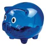Pusculita transparenta Piggy