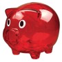 Pusculita transparenta Piggy