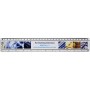 Rigla plastic 30 cm cu insectie Ellison 