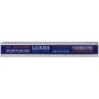 Rigla plastic 30 cm cu insectie Ellison 
