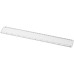 Rigla plastic 30 cm cu insectie Ellison 