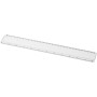 Rigla plastic 30 cm cu insectie Ellison 