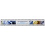 Rigla plastic 30 cm cu insectie Ellison 